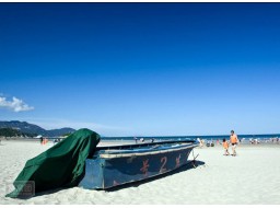 “魅力川島”航線