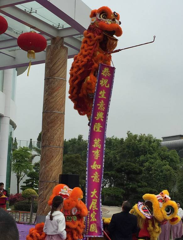 148634615496782.jpg 8.jpg